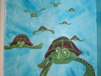 turtle-migration