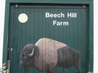 beech-hill-bison-farm