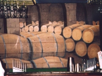 tjs-wine-cellar
