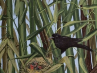 hcg-bird-and-nest