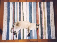 faux-rag-rug-with-cat-floorcloth