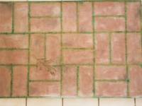 brick-patio-floorcloth