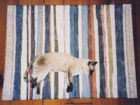 faux-rag-rug-with-cat-floorcloth