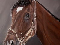 barbaro-8x10-best