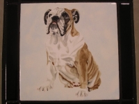 English-bulldog-table-top