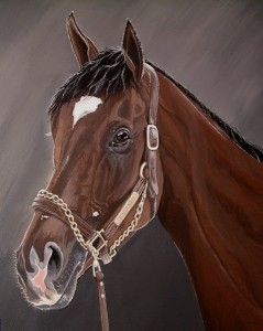 barbaro 8x10 best