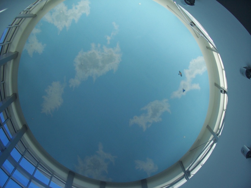 This sky ceiling was painted in the atrium lobby of a cancer hospital