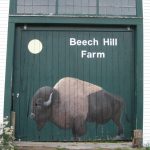 beech-hill-bison-farm