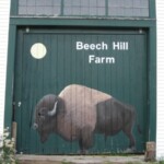 beech-hill-bison-farm