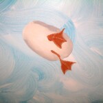 ceiling-with-duck