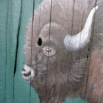 chief-beech-hill-farm-detail