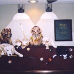 dogs-shooting-pool