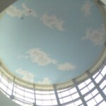 dsi-ceiling