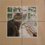 feline-still-life