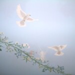 hass-detail-doves