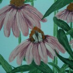 hcg-echinacia-with-butterfly