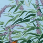 hcg-monarch-butterfly-on-bush