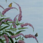 hcg-two-butterflies