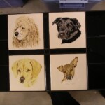 tanias-pets-tile-top