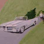 irvings-detail-of-car-with-christmas-tree