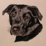 lab-0747-1-1