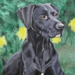 labportrait