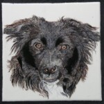 maxfield-tile-cropped-1