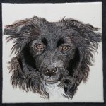 maxfield-tile-cropped-1