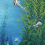 monterey-jelly-fish
