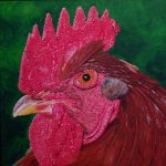 rooster