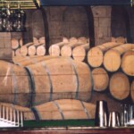 tjs-wine-cellar